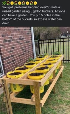 several yellow buckets filled with plants sitting on top of a wooden table in front of a brick building