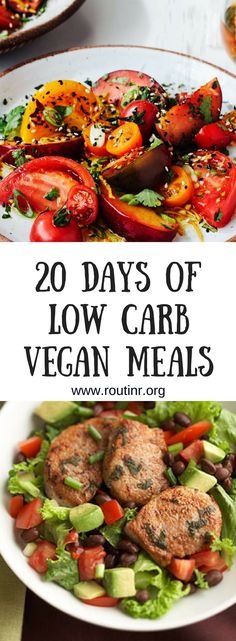 the cover of 20 days of low carb vegan meals, including meats and vegetables