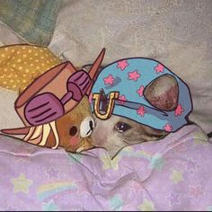 a small dog wearing a hat and glasses on top of it's head while laying in bed