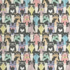 an image of cats wearing glasses on a colorful background with the words, i love cats