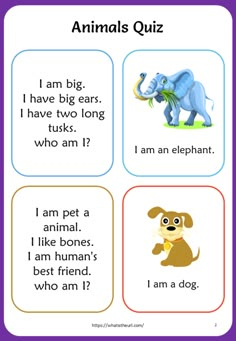 an animal quiz with four different animals and two words in the same language on each side