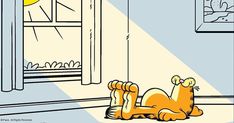 an orange cat laying on the floor in front of a window