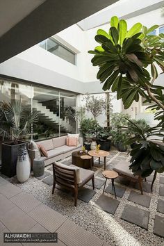 a living room with lots of plants in the middle of it and some couches