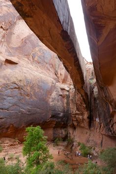 some people are standing in the middle of a narrow canyon with large rocks and trees