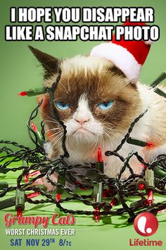 a grumpy cat wearing a santa hat with christmas lights around it and caption that reads, i hope you disappear like a snapchat photo