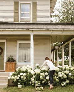 a woman standing in front of a white house next to hydrangea plants and flowers