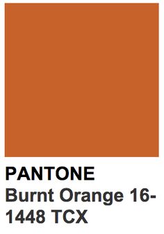 the pantone burnt orange color is shown in this graphic style, and it looks to be