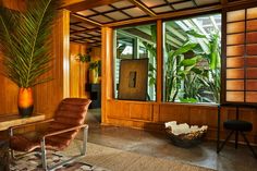 a living room filled with furniture and plants