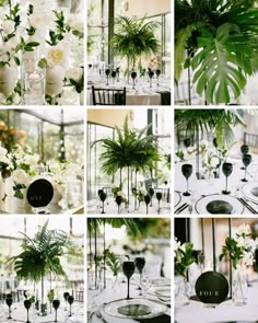 a collage of photos with plants and wine glasses