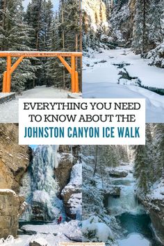 the words everything you need to know about the johnston canyon ice walk in winter