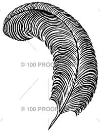 a black and white drawing of a feather