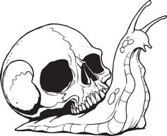 a drawing of a snail and a skull