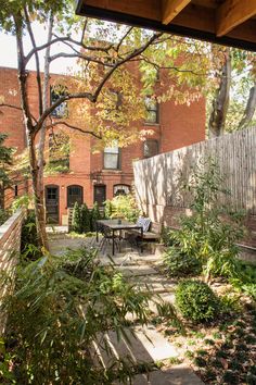 the back yard is full of plants and trees