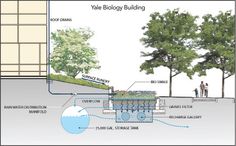 an image of a water source diagram with trees and people in the background, labeled