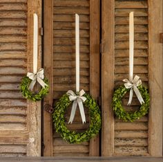 Three fresh Porch View Home Boxwood Wreaths with Cream Grosgrain Ribbon hanging on wooden shutters. Boxwood Wreath With Ribbon, Small Boxwood Wreath, Wreath With Ribbon, Boxwood Wreaths, Holiday Chaos, Boxwood Plant