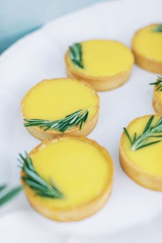 small pastries on a white plate with green sprigs and rosemary garnish