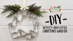 a christmas wreath made out of ice and pine cones with the words diy on it