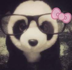 a black and white panda bear wearing glasses