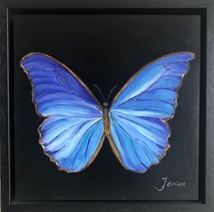 a blue butterfly in a black frame