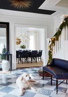 a dog sitting on the floor in front of a dining room table