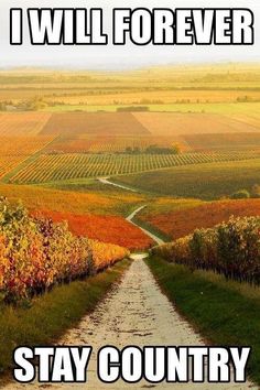 an image of a country road with the words i will forever stay country