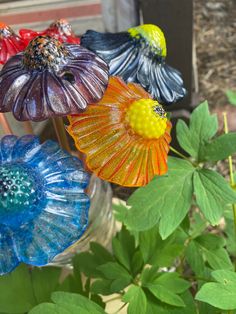 three colorful glass flowers in a vase on the ground next to green leaves and plants