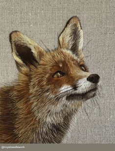 a drawing of a fox's head on a gray background with brown and white fur