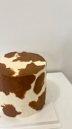 Simple Western Birthday Cake, Texas Shaped Cake, Cowboy Smash Cake Boys, Rodeo Theme Birthday Cake, 1st Rodeo Smash Cake, Western Cakes Birthday For Women, Western First Birthday Cake, Cow Smash Cake Boys, Cowboy Themed Cake