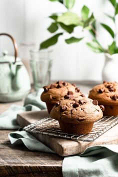 two chocolate chip muffins on a cooling rack next to a potted plant