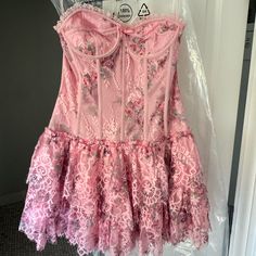 Size 2 Brand New, It’s Only Been Worn Once, Tags Are On Super Cute On, I’m 5’9 For Reference I Got For It For 600 So I’m Putting Price As 550 But Im Willing To Negotiate Spring Evening Coquette Dress, Pink Corset Dress For Spring Cocktail, Pink Corset Dress For Cocktail Spring Occasions, Fitted Lace Corset Dress For Garden Party, Pink Corset Dress With Lace Trim, Pink Coquette Dress For Spring, Pink Fitted Corset Dress For Garden Party, Pink Lace Mini Corset Dress, Princess Clothes