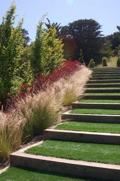 the steps are lined with grass and flowers