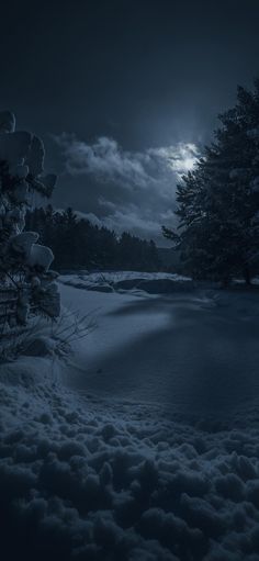 the full moon shines brightly over a snowy field with trees in the foreground