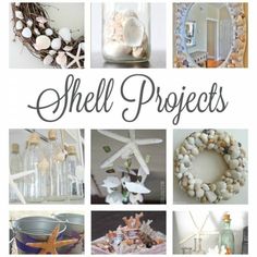 there are many shells and other things in this collage with the words shell projects