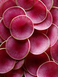 a close up view of some very pretty pink flowers in the middle of it's petals