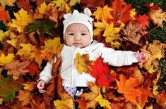 a baby is laying in leaves on the ground