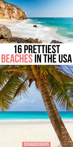 a palm tree on the beach with text overlay reading 16 prettiest beaches in the usa