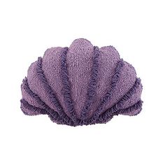 a purple scallop on a white background