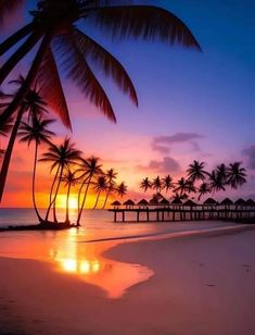 the sun is setting behind some palm trees on the beach with a pier in the distance