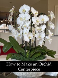 white orchids in a bowl with text overlay how to make an orchid centerpiece