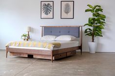 a bed sitting in the middle of a room next to a potted plant