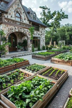 an outdoor garden with many different types of plants and vegetables in wooden boxes on the ground