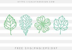 four different leaf shapes with the text free svng files for design on top of them