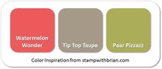 the color scheme for watermelon, wonder, tip top taupe and pear plaza