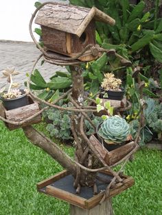 a bird house made out of tree branches with succulents and cacti