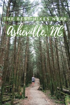 the best hikes near asterville, nc with text overlaying it