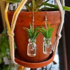 two glass jars with plants in them hanging from a planter