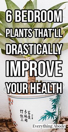 a potted plant with the words 6 bedroom plants that'll dramatically improve your health