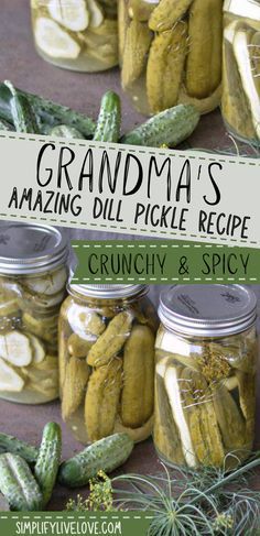 grandma's amazing dill pickle recipe with text overlay that reads grandma's amazing dill pickle recipe crunchy and spicy