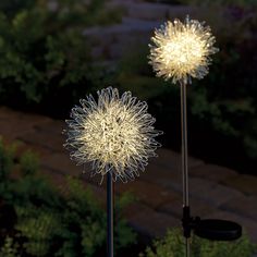 two metal sculptures with lights on them in the middle of some plants and bushes behind them