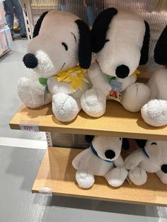 several stuffed dogs are sitting on shelves in a toy store, one is white and the other is black